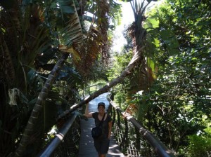 botanic 01 (1)  